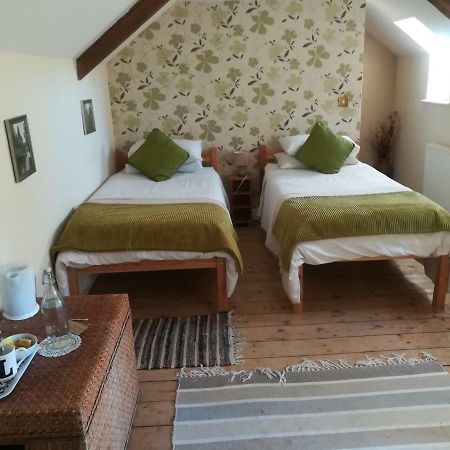 Bed and Breakfast Y Garreg Wen Llanybyther Exterior foto