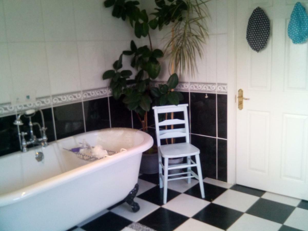 Bed and Breakfast Y Garreg Wen Llanybyther Exterior foto