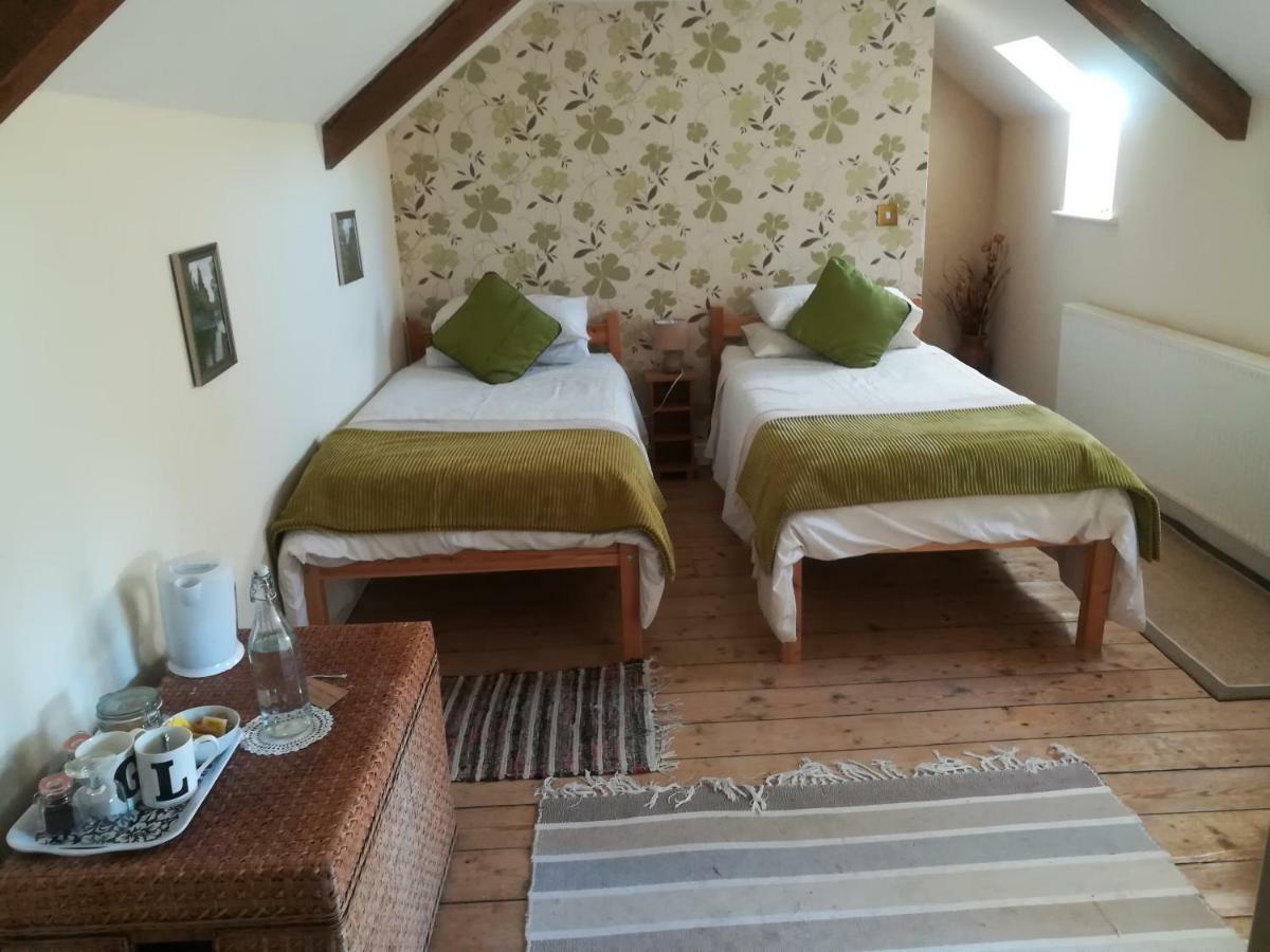 Bed and Breakfast Y Garreg Wen Llanybyther Exterior foto