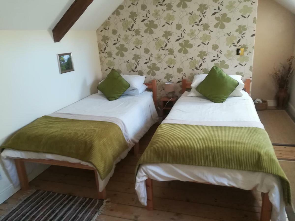 Bed and Breakfast Y Garreg Wen Llanybyther Exterior foto