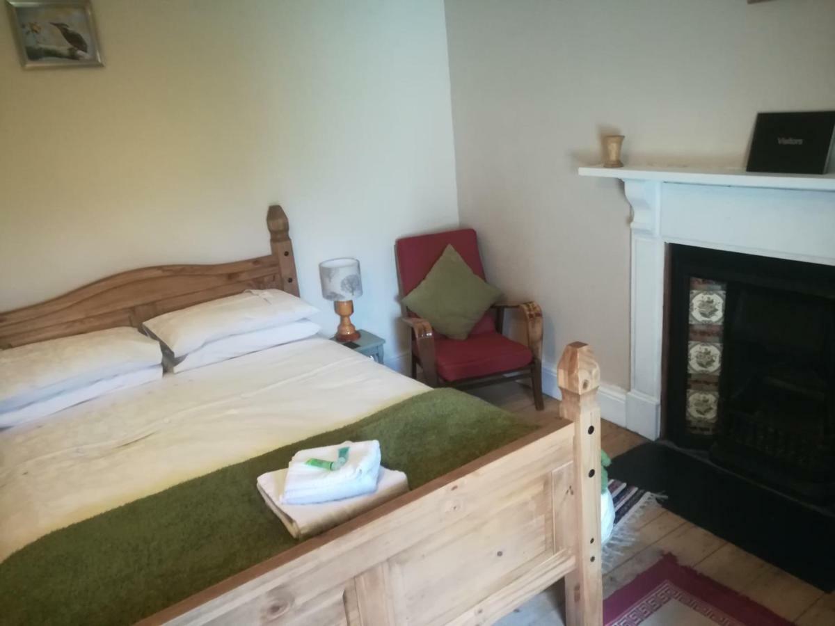 Bed and Breakfast Y Garreg Wen Llanybyther Exterior foto