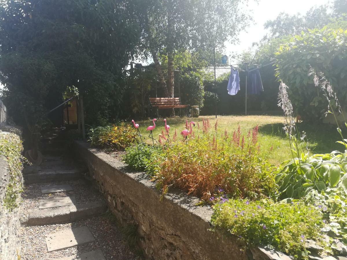Bed and Breakfast Y Garreg Wen Llanybyther Exterior foto